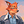 Flopjul_NL - Most Recent Poster