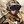 MrJ3lly - Original Poster, Most Recent Poster