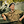 ProfessorJeff1 - Frequent Poster